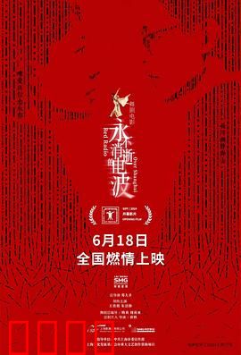 永不消逝的电波2024：绝密电码战