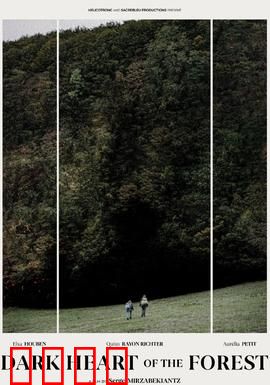 森林的黑暗心脏：致命迷宫