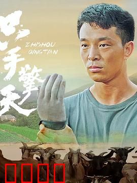 只手擎天：独臂奋斗史