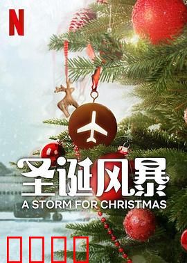 圣诞风暴：温情奇缘
