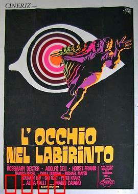 迷宫眼：迷雾重重