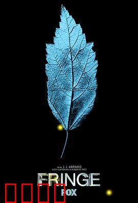 危机边缘第一季：平行宇宙的谜团