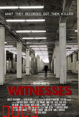 目击者2019：暗夜追踪