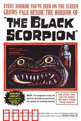 黑蝎：复仇毒针