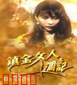 镇金女人周记粤语：豪门暗战