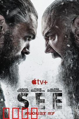 看见第二季：盲点迷局