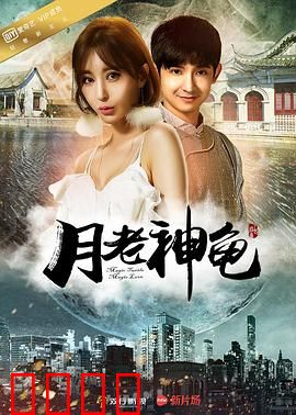 月老神龟：跨越千年的爱恋