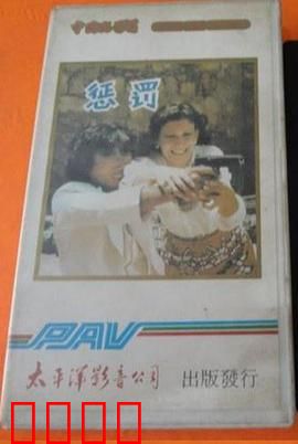 惩罚1980：复仇的代价