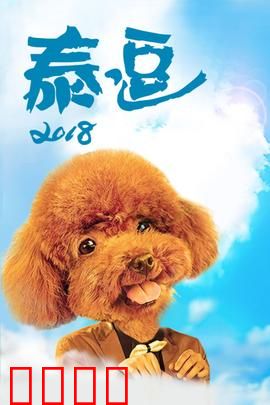泰逗2018：爆笑囧途记