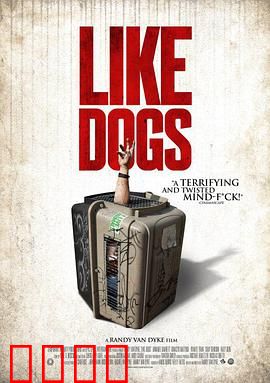 好像一条狗：命运下的卑微