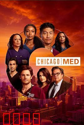 芝加哥急救第六季：生死急诊室