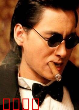 百合绽放：花语人生