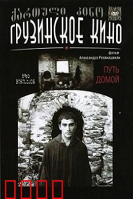 返乡之路：寻根之旅的温情