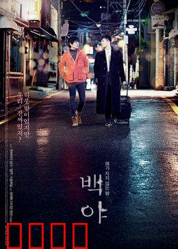 白夜：一场极光下的梦幻之旅