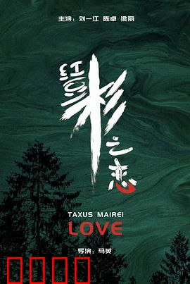 红豆杉之恋：千年守候的缘分