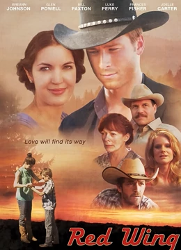 隐形红翼：天空中的幽灵