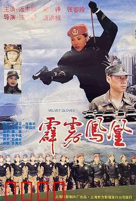 霹雳凤凰：女特工传奇