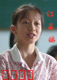 红尾鸽：最后的信使