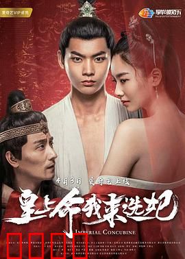 皇上命我来选妃：笑料百出选妃路