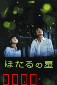 萤火虫之星：夏夜里的生命之光