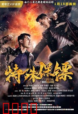 特殊保镖：亡命守护