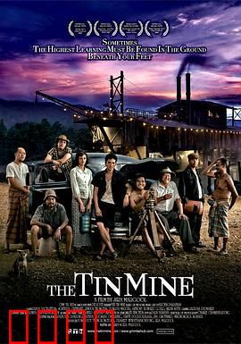 锡矿山：血泪史