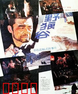 野狼谷：狼性觉醒