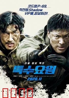 特种人员：暗影行动