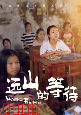 远山的等待：一段跨越时空的守望