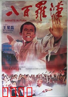 八百罗汉：罗汉降世护苍生