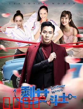 剩女斗士：不婚反击战