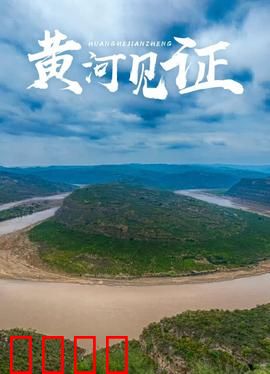 黄河见证：家族命运交响曲