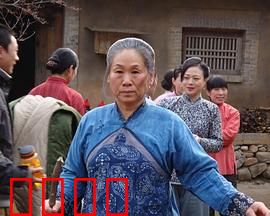 野茱萸：山野中的生命赞歌