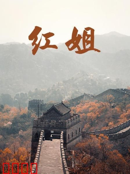 红姐2017：黑道女皇复仇