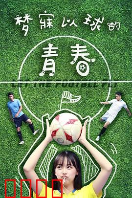 梦寐以球的青春：逆袭之路