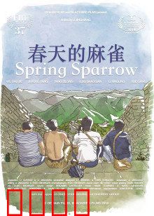 春天的麻雀：治愈之旅
