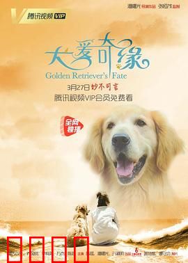 犬爱奇缘：忠犬守护一生情