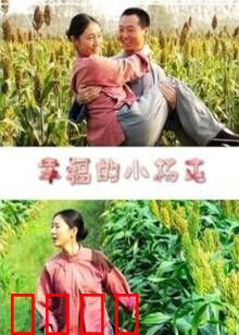 幸福的小杨屯：乡村振兴之路