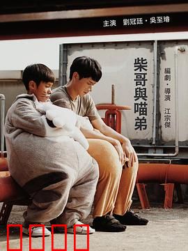 柴哥与喵弟：萌宠大冒险