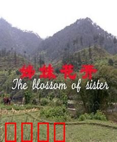 姊妹花开：姐妹情深路难行