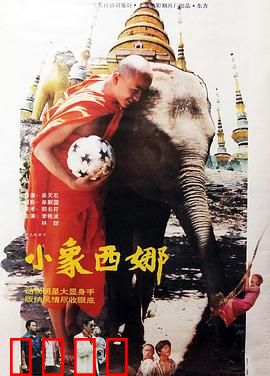 小象西娜：逆境求生