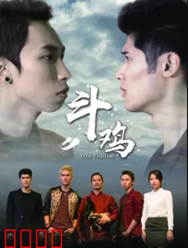 斗鸡：人鸡赌局