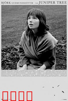 女巫恋人：真爱破咒