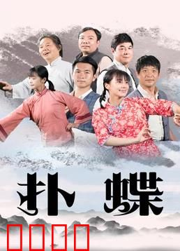 扑蝶：暗夜蝶影