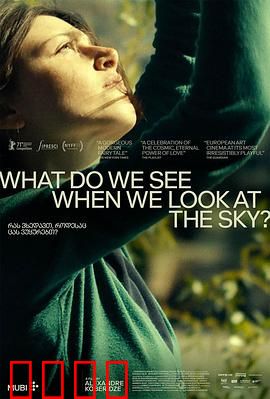 当我们仰望天空时看见什么？：奇幻爱情之旅