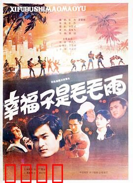 幸福不是毛毛雨：奋斗青春不等待