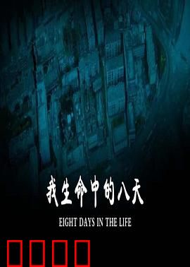 我生命中的八天：生命最后的顿悟