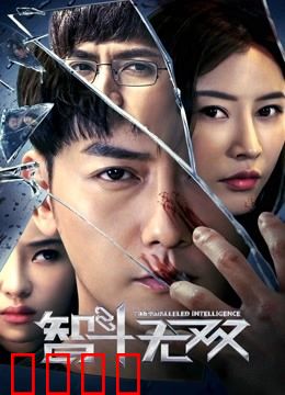 智斗无双：数字迷局