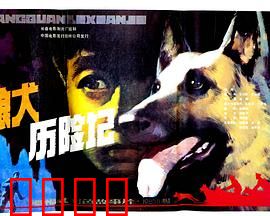 狼犬历险记：人犬情深