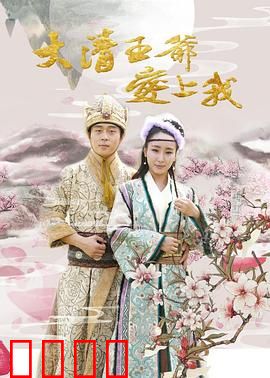 大清王爷爱上我：宫斗甜宠剧